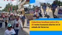 Colectivos localizan entre 20 y 30 restos humanos diarios en el estado de Veracruz