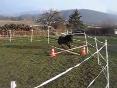 Spirit à l'obstacle