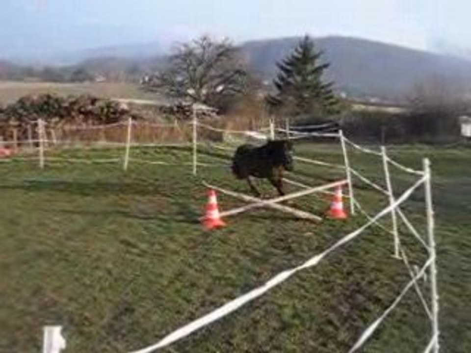 Spirit à l'obstacle