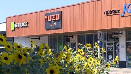 Disparition inquiétante à Campbellton : Alicia-Rose Forget toujours introuvable 🕵️‍♀️