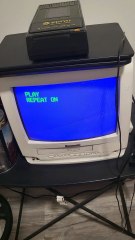 opening to color me beautiful