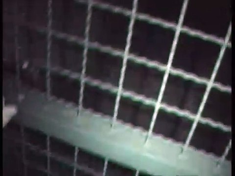 30.08.2024 - Sind alle Hühner und der Chef da ?