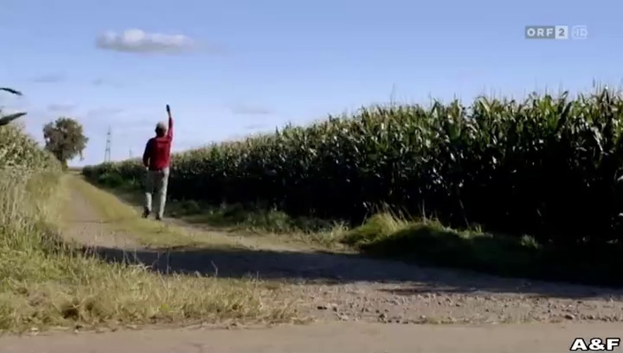 Eltern allein zu Haus - Die Winters