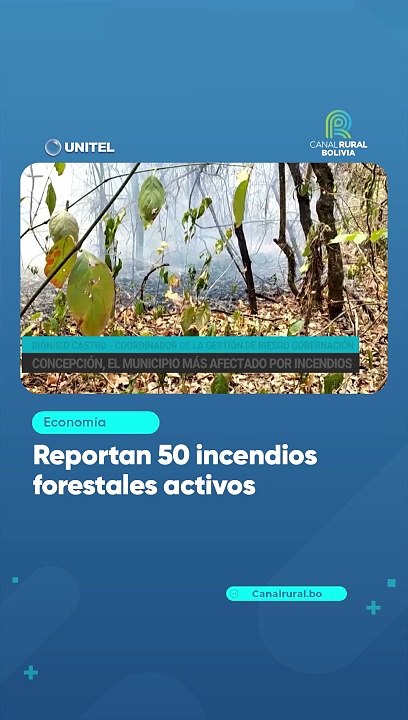 Reportan 50 incendios forestales activos