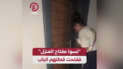 “نسوا مفتاح المنزل” ففتحت قطتهم الباب