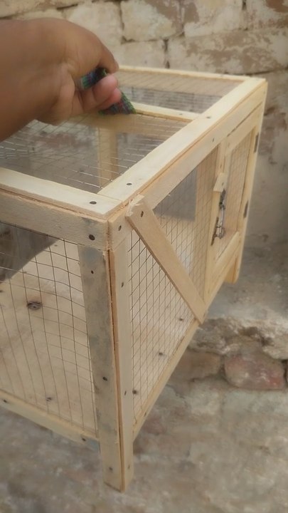 i bought a cage for my baby piegon میں اپنے چھوٹے کبوتر کے بچے کے لیے پنجرہ لے کر آیا ہوں