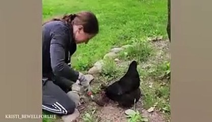 laugh until crying with funniest animals.