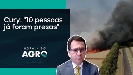 O que está por trás dos incêndios criminosos em SP? | HORA H DO AGRO