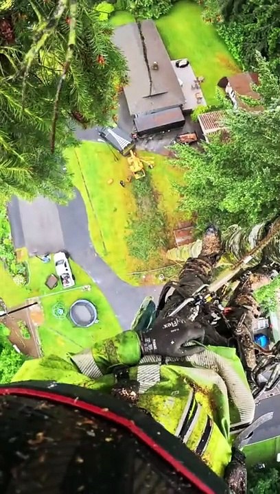 Art to cut trees