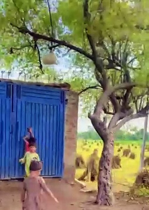 Punjabi culture gaon ka | zaberdst vlog| old village life in world very unique and wonderful village life traditional village life in Punjab apna sohna punjab