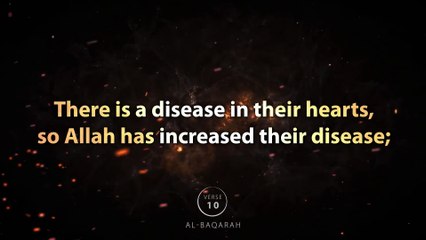 Surah Al-Baqarah _ Verse 8-20 _ Quran Visualization #quran #surahbaqarah  #quranvisualization