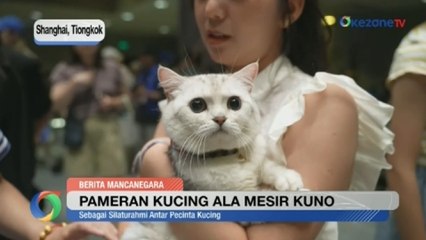 Pameran Kucing ala Mesir Kuno di Museum Shanghai
