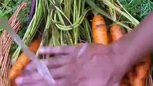Organic_Carrot_Halwa_#