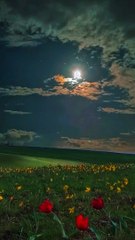 beautiful night View | Peaceful View | Relaxing Mind