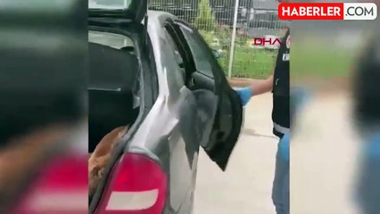 Türkiye'ye gelen otomobilde 6 türden 42 hayvan ele geçirildi! İçeride yok yok