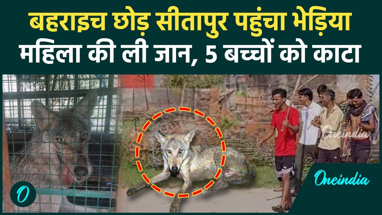 Bahraich: भेड़िया भागकर पहुंचा Sitapur, महिला को मारा, 5 बच्चों को काटा | वनइंडिया हिंदी