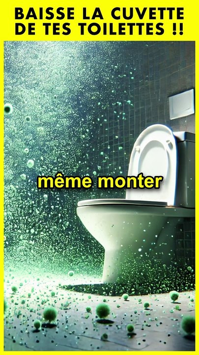 LA CUVETTE WC