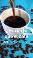 ¿Eres adicto al café? Esto debes saber