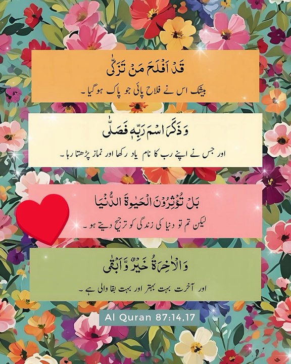 لیکن تم تو دنیا کی زندگی کو ترجیح دیتے ہو #trending#viral#shorts#islamic#follow#foryou#dailymotion#share
