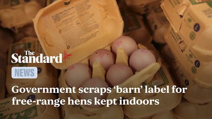 Government scraps 'barn' label for free-range hens kept indoors