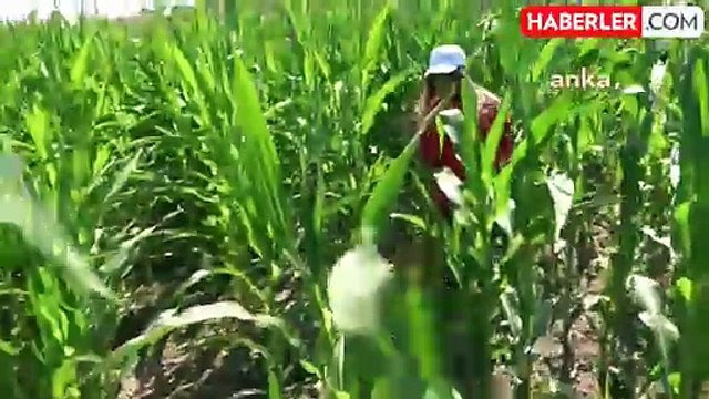 Diyarbakır'da kayıp Narin Güran soruşturması kapsamında amcası gözaltına alındı