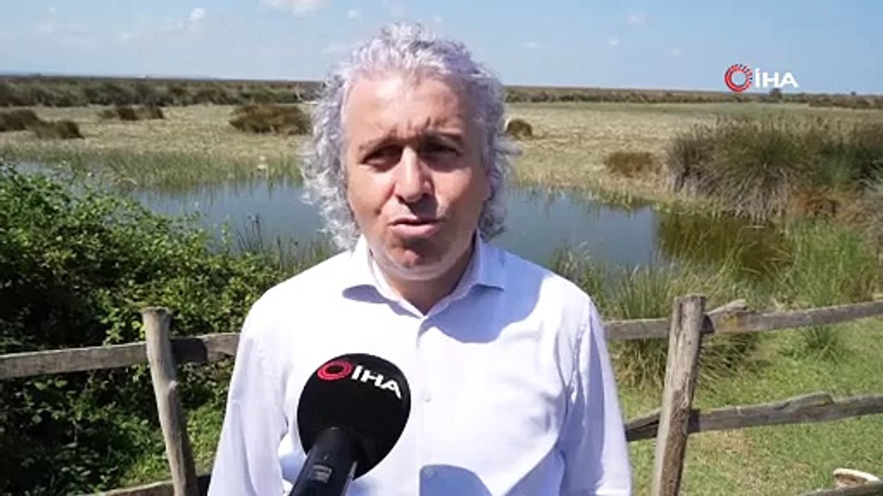 Son Yağışlar Kızılırmak Deltası'na Hayat Verdi