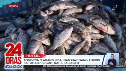 Tone-toneladang isda, namatay nang anurin sa Pagasetic Gulf dahil sa bagyo | 24 Oras Weekend