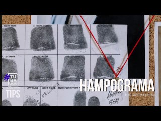 Hampograma de Camacaro Hoyos: ¿Cuántas personas integran su organización delictiva?