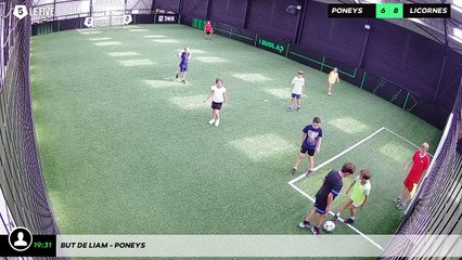 But de Liam - poneys