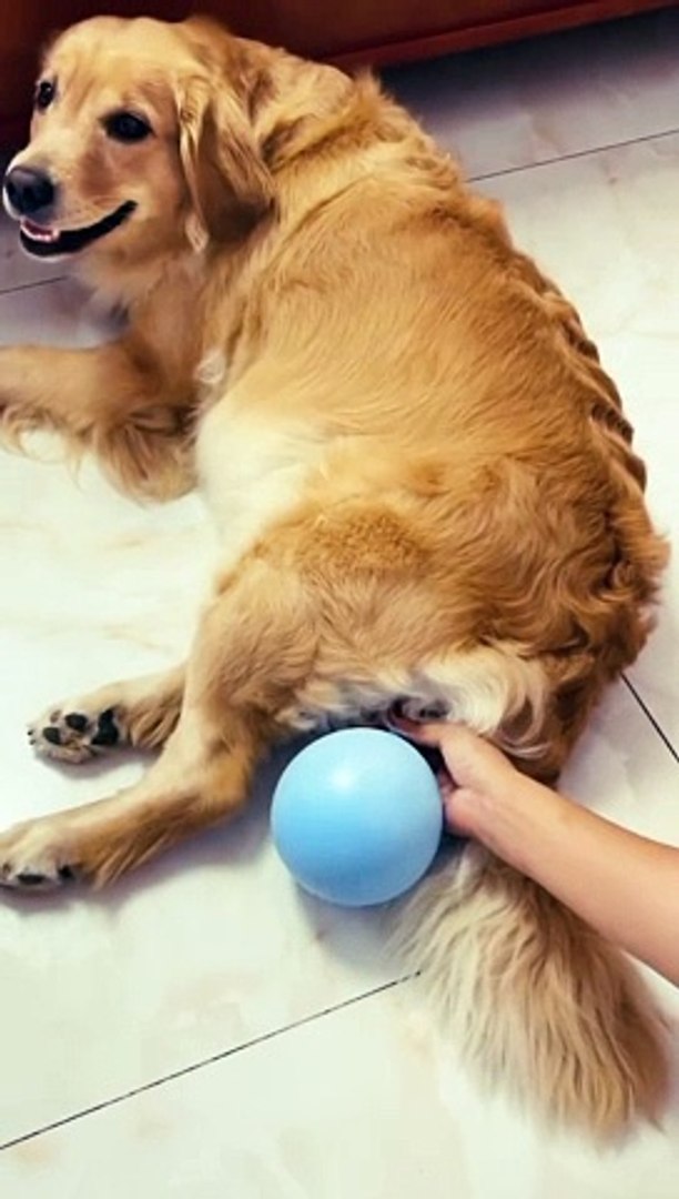 1000012643 funny moments