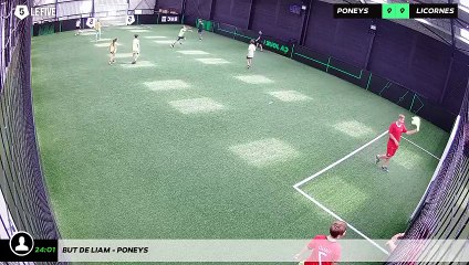 But de Liam - poneys