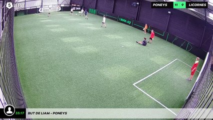 But de Liam - poneys