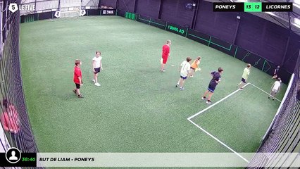 But de Liam - poneys