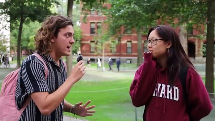 Asking Harvard Students How They Make Money