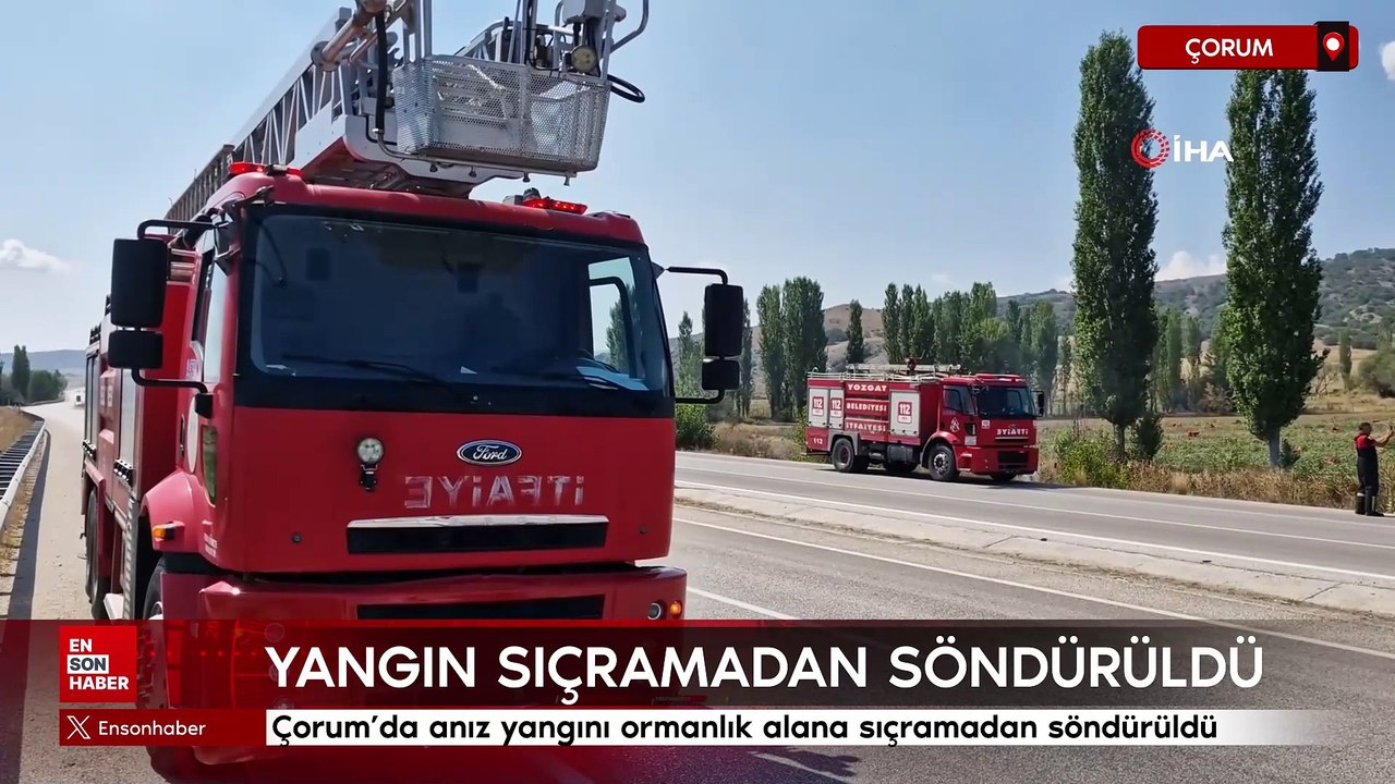 Çorum'da anız yangını ormanlık alana sıçramadan söndürüldü