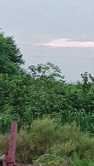 Village life scene#viral#viralvedio