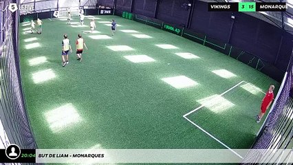 But de Liam - monarques