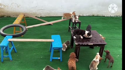 In life success has no short cut.Just do what has to be done.