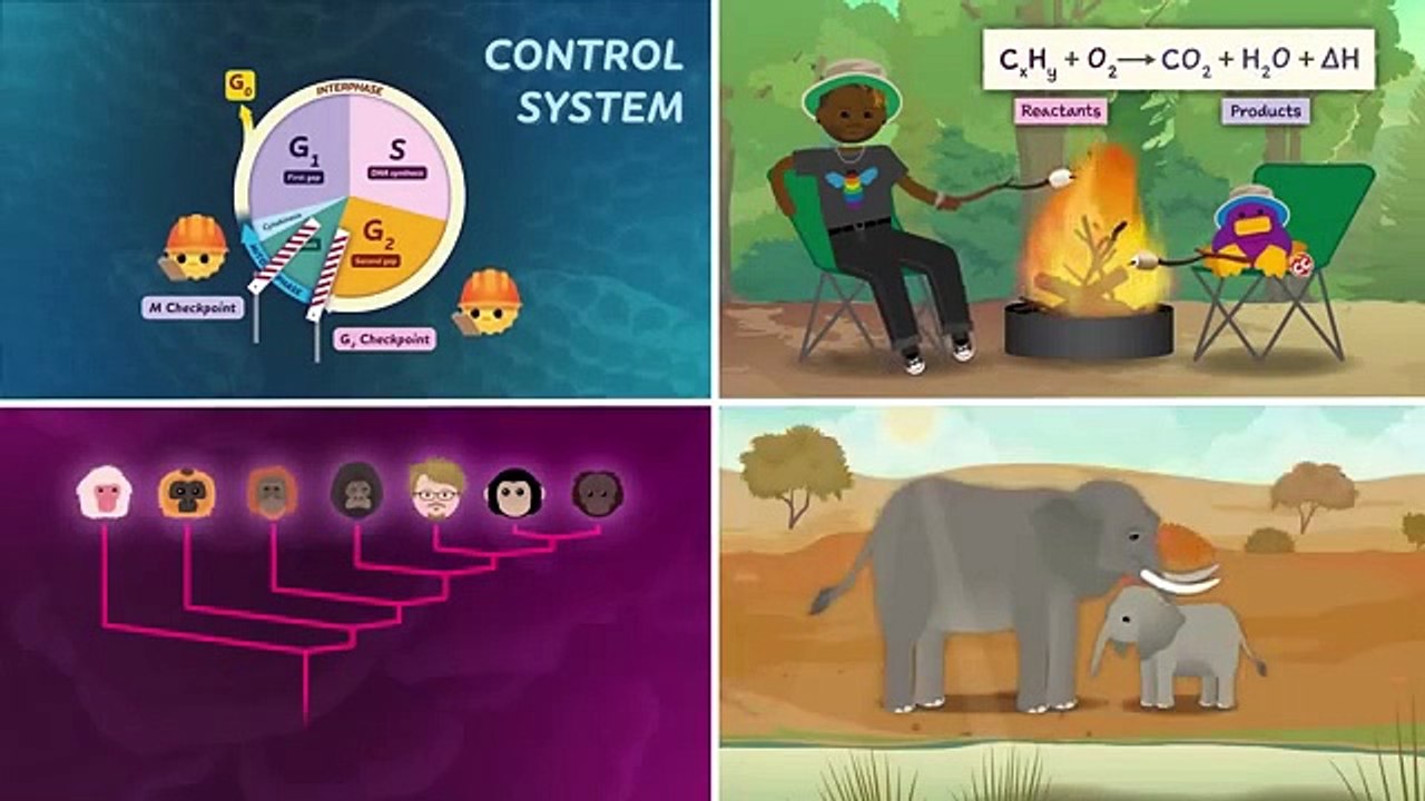 Biology and You: The Dr. Sammy Show: Crash Course Biology #50