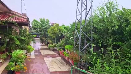 Fuertes lluvias en la Ribera en vísperas de la vendimia