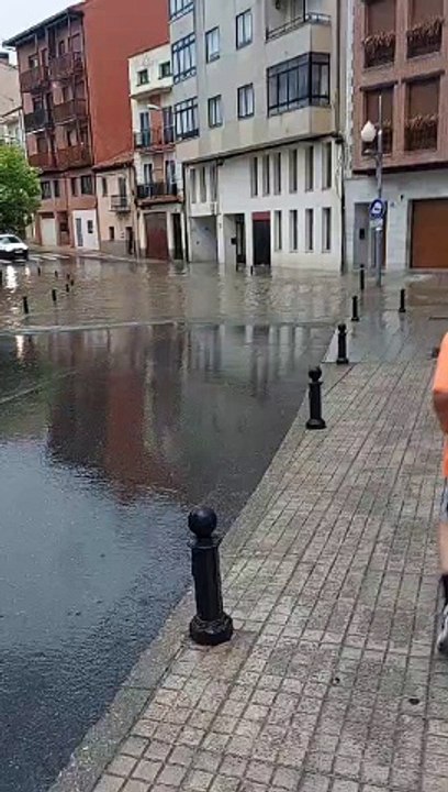Temporal Aranda