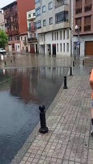 Temporal Aranda: A Brief Overview