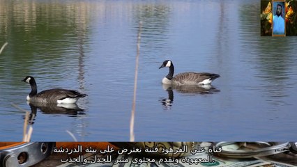 قصة  باب من الدين الفرار من الفتن  الأحاديث قناة علي الفرهود الكريم