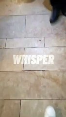 Galataport AVM'de bulunan ünlü bir restoranda silahlı saldırı oldu