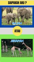 KARTUN TEMPEL | SIAPAKAH AKU ? #kartuntv #kartuntempel #animasi