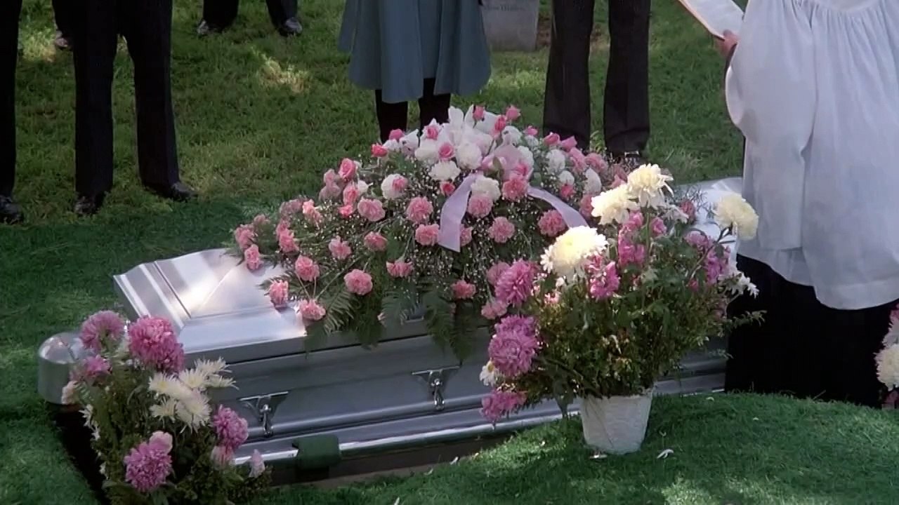 El Vengador Anónimo 2 (1981)