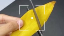DIY leaves