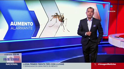México sufrió un aumento de más del 238% de casos de dengue en el último año