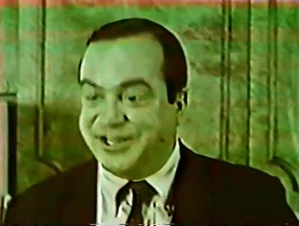 1960s David Doyle (Bosley - "Charlie's Angels") for Viking kitchen carpet