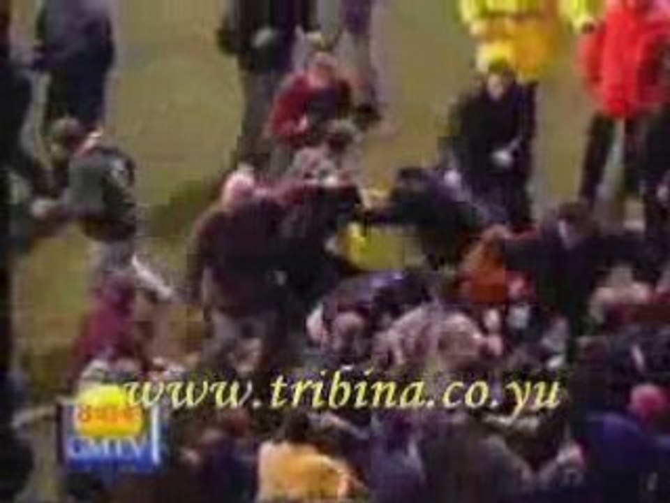 fight Chelsea vs millwall